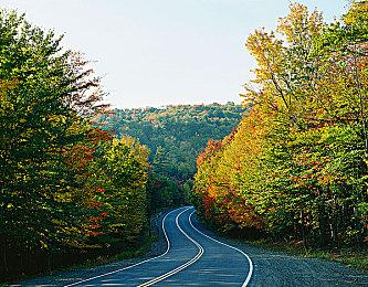 轻度肉鸽塔防游戏《亡灵巫师2》现已在Steam平台正式发售